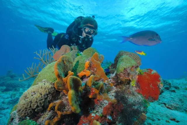 Mergulho em Cozumel durante viagem de destination wedding no México